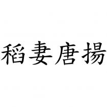 稻妻唐揚