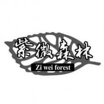 紫微森林 Zi wei forest 及圖