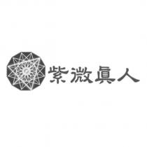 紫微真人 及圖