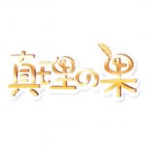 真理の果設計字