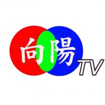 向陽 TV 及圖