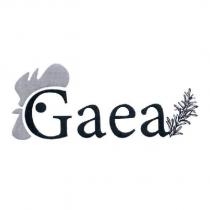 Gaea 雞設計圖