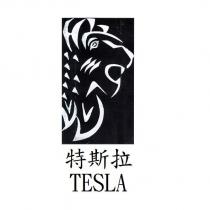 特斯拉 TESLA 及圖