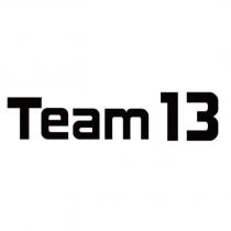 Team 13