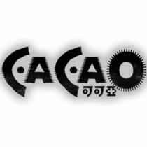 可可亞 Cacao