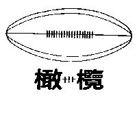 橄欖及圖
