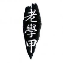 老學甲及圖