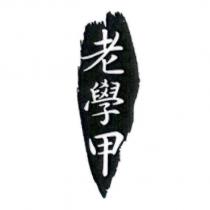 老學甲及圖
