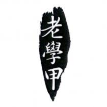 老學甲及圖