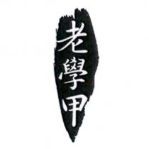 老學甲及圖