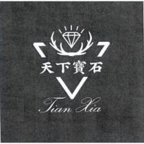 天下寶石 Tian Xia 及圖