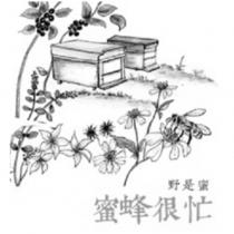 野是蜜 蜜蜂很忙及圖