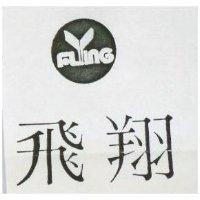 飛翔及圖 FLYING 