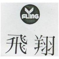 飛翔及圖 FLYING 