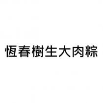 恆春樹生大肉粽