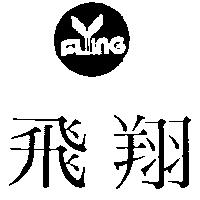 飛翔及圖 FLYING 