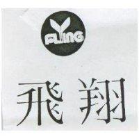 飛翔及圖 FLYING 