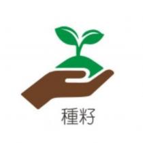 種籽及圖