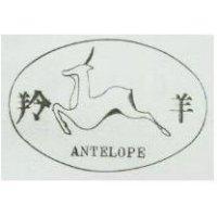 羚羊 ANTELOPE 及圖 