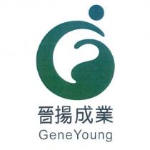晉揚成業 Gene Young 及圖