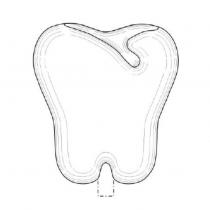 Tooth-Shaped Lollipop design