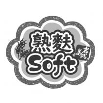 岩島成 熟麩 Soft 及圖