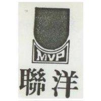 國洋及圖 MVP