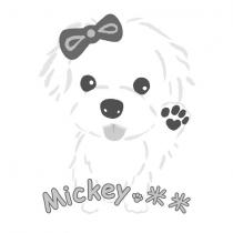 Mickey 米米及狗設計圖