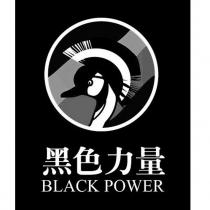 黑色力量 BLACK POWER 及鳥設計圖