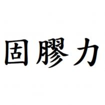 固膠力