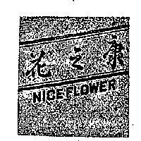康之花及圖