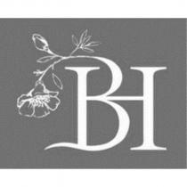 BH 及圖