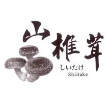 山椎茸 しいたけ Shiitake 及圖
