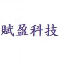 賦盈科技