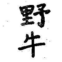 野牛