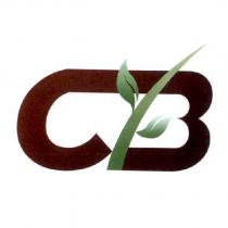 CB 設計圖