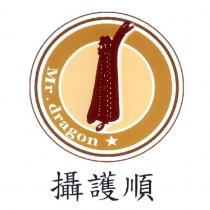 攝護順及圖 Mr.dragon