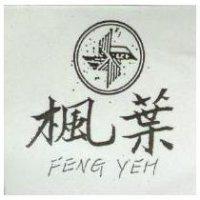 伊能及圖 OPTI – RAY