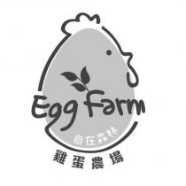 自在森林雞蛋農場 Egg Farm 及圖