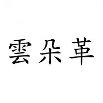 雲朵革