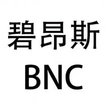 碧昂斯 BNC