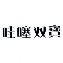 哇噻双寶