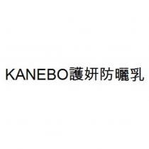 KANEBO 護妍防曬乳
