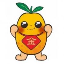金棗設計圖