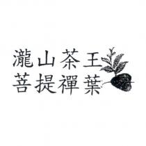 瀧山茶王 菩提禪葉及圖