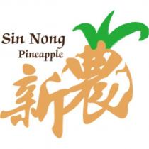 新農 Sin Nong pineapple 設計圖