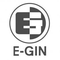 E-GIN 及圖