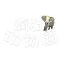 瘋狂動物園及圖