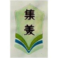 集美及圖 (彩色)