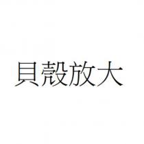貝殼放大
